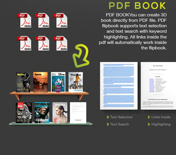 RealD-Flipbook-WordPress-Plugin