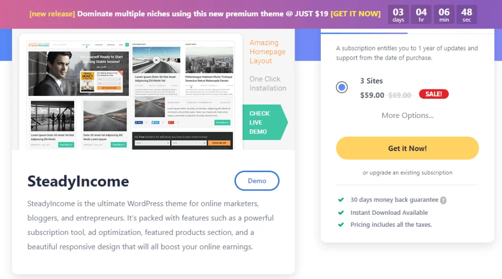 steadylncome-wordpress-theme