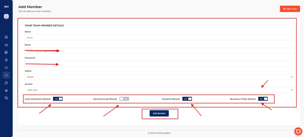 MySEO-Auditor-Team-option