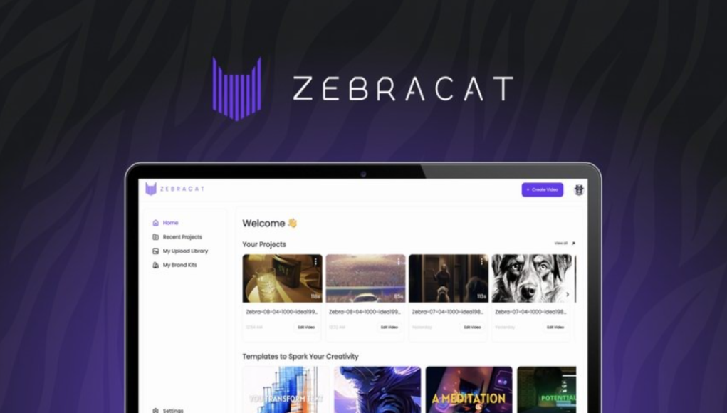 Zebracat-Review