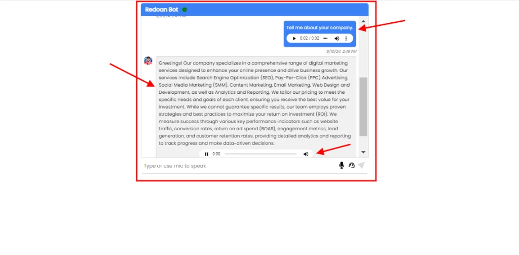 Voice Agent Functionality